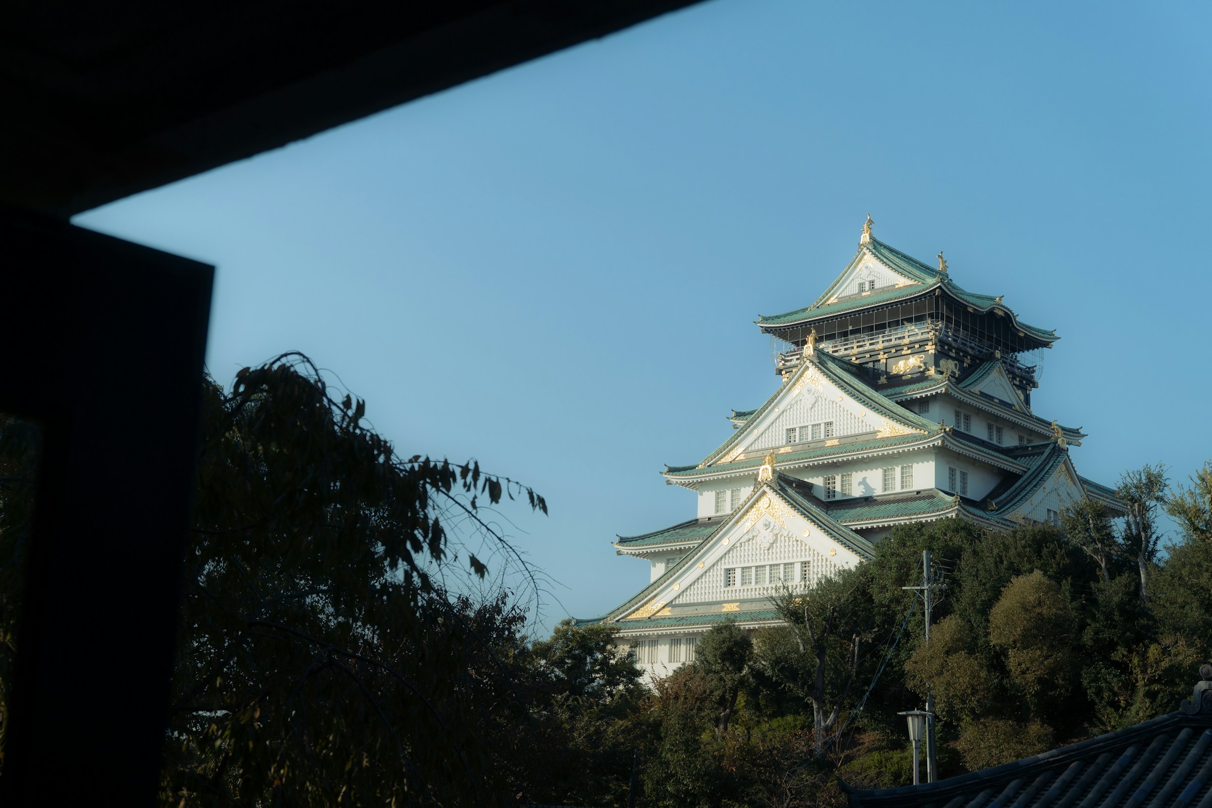 The Golden Route: A Muslim-Friendly Journey from Osaka to Tokyo